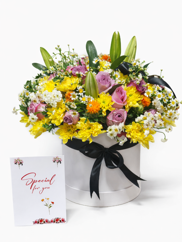 file_000000003a6871f89ea93ca8f70cdab4