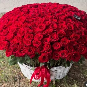 Scarlet Love Basket